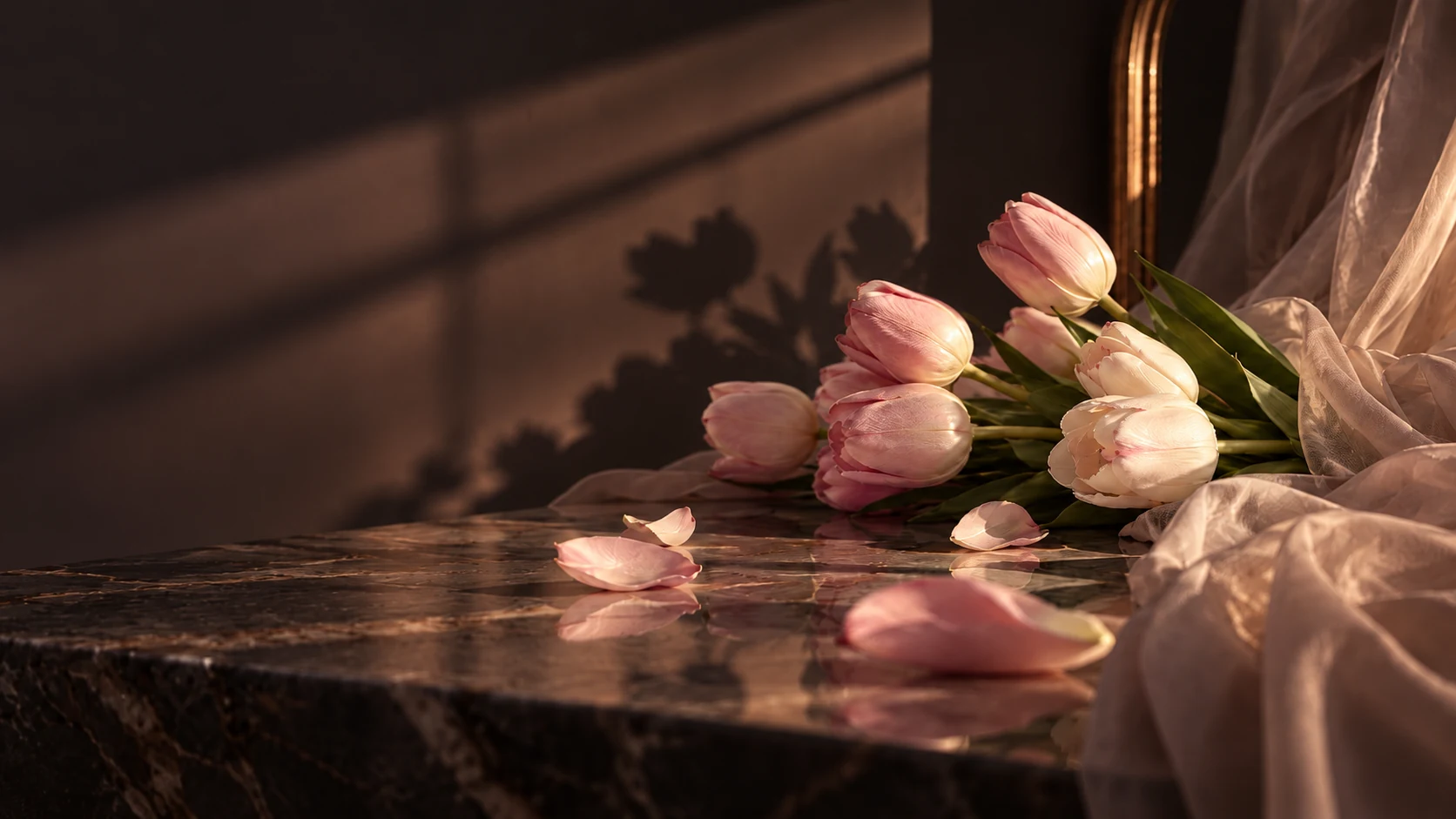 Pink tulips on a dark marble table in low golden light, beside soft sheer fabric.